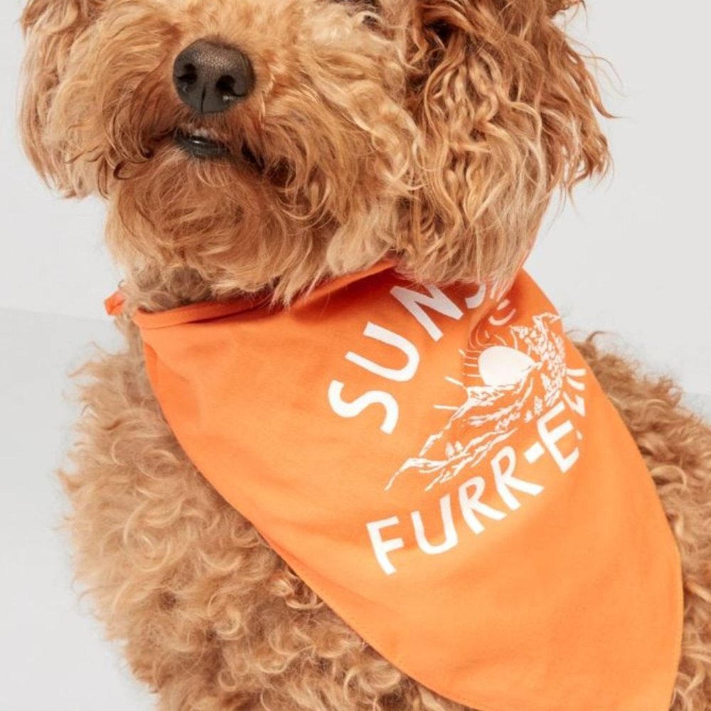 “Host Pick” Old Navy - Graphic Bandana for Pets